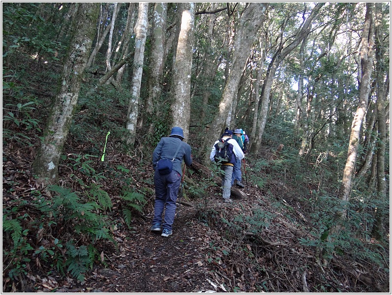 2015-01-08 14-22-11登李棟山途中.JPG